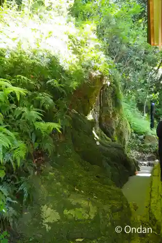 出雲大社(島根県)