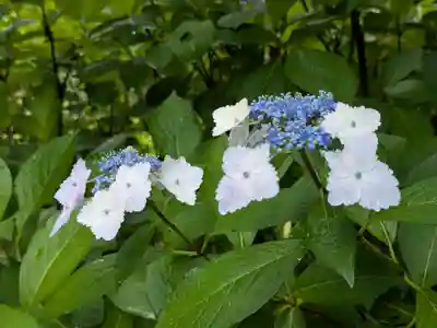 法華寺(岐阜県)