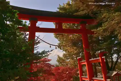 新倉富士浅間神社の鳥居