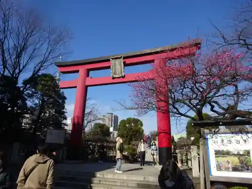 亀戸天神社の鳥居