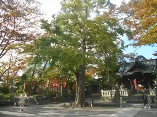 亀岡八幡宮（亀岡八幡神社）(神奈川県)