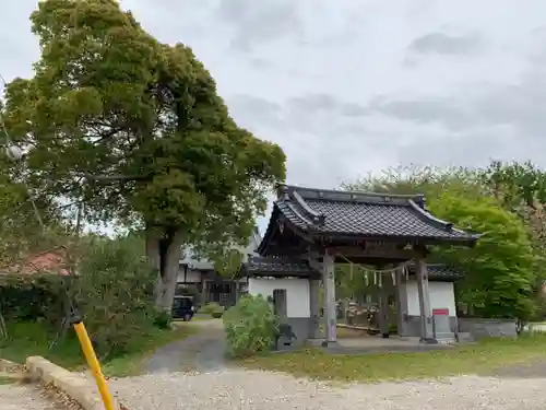 妙勝寺の山門