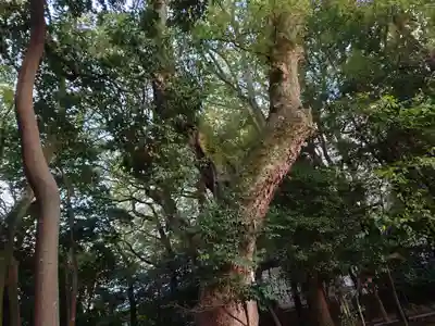 生田神社(兵庫県)