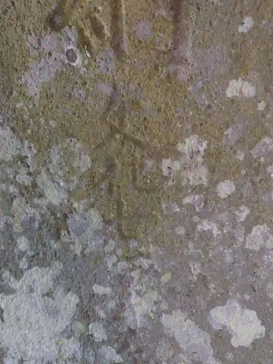 玉﨑神社(千葉県)