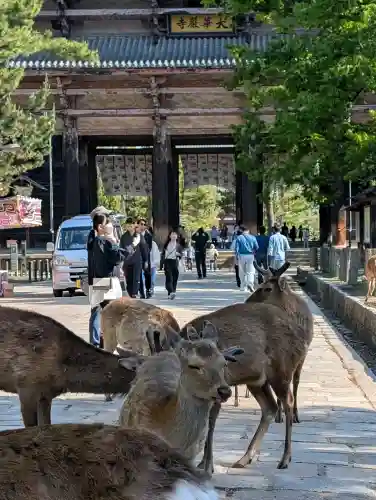 東大寺(奈良県)