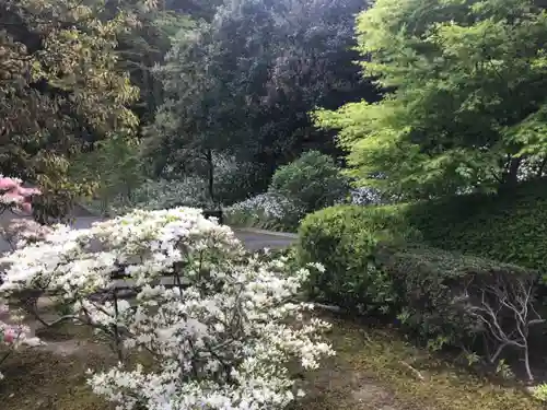 浄智寺の庭園