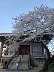 常圓寺の本殿