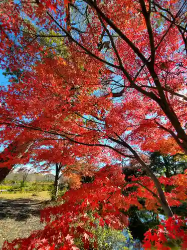 緑水神社の自然