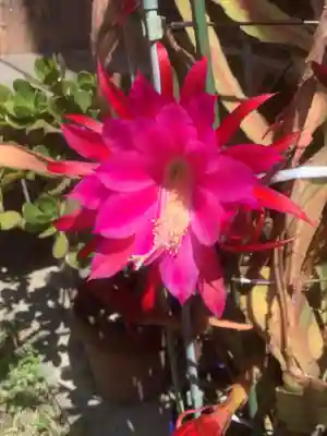 性慶院(愛知県)