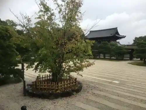 仁和寺の庭園