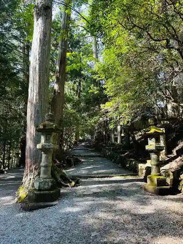 三峯神社(埼玉県)