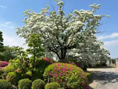 少林寺(岐阜県)