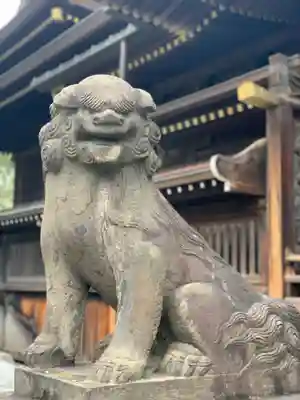 赤羽八幡神社の狛犬