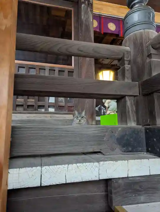 櫻山神社(岩手県)