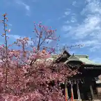 桜神宮(東京都)