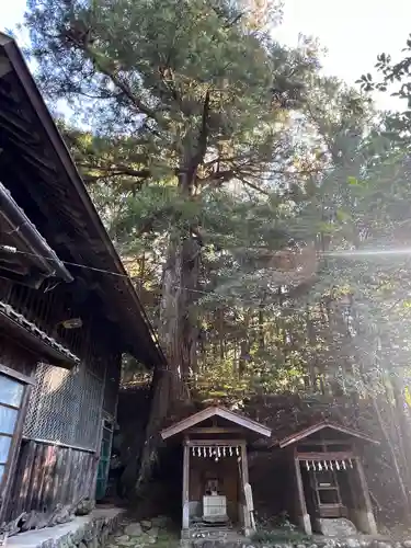 萩日吉神社(埼玉県)