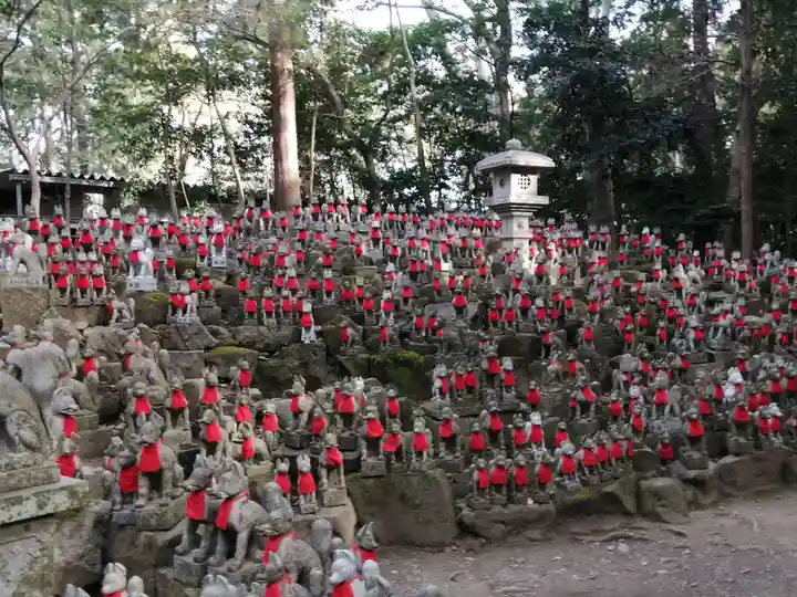 豊川閣 妙厳寺の狛犬