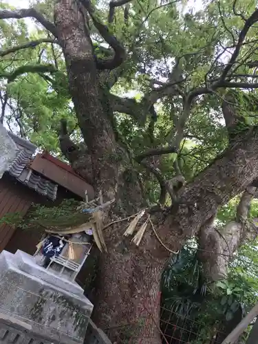 大麻比古神社の自然