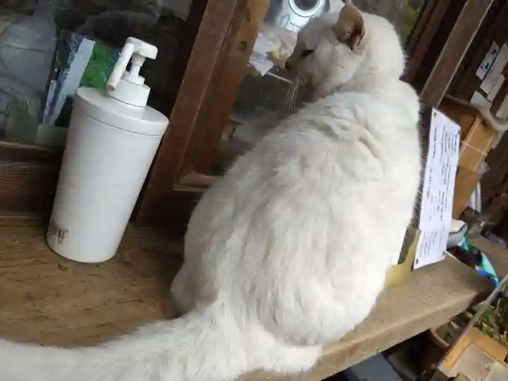 梅宮大社(京都府)