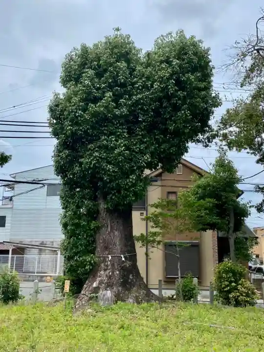 菱妻神社(京都府)