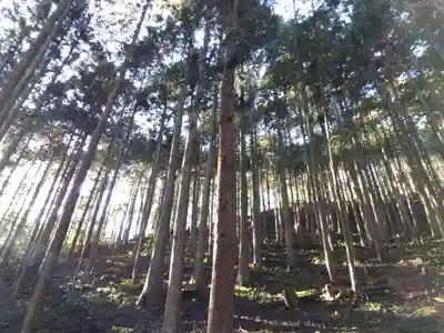 古知谷阿弥陀寺(京都府)