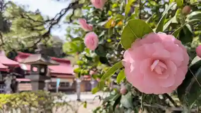 金蛇水神社(宮城県)