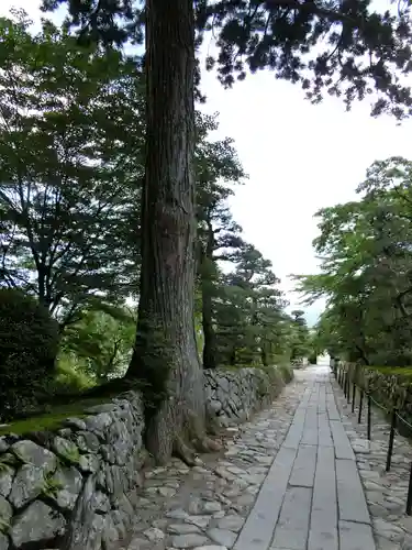 宝積山光前寺の庭園