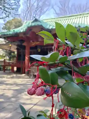 赤坂氷川神社(東京都)