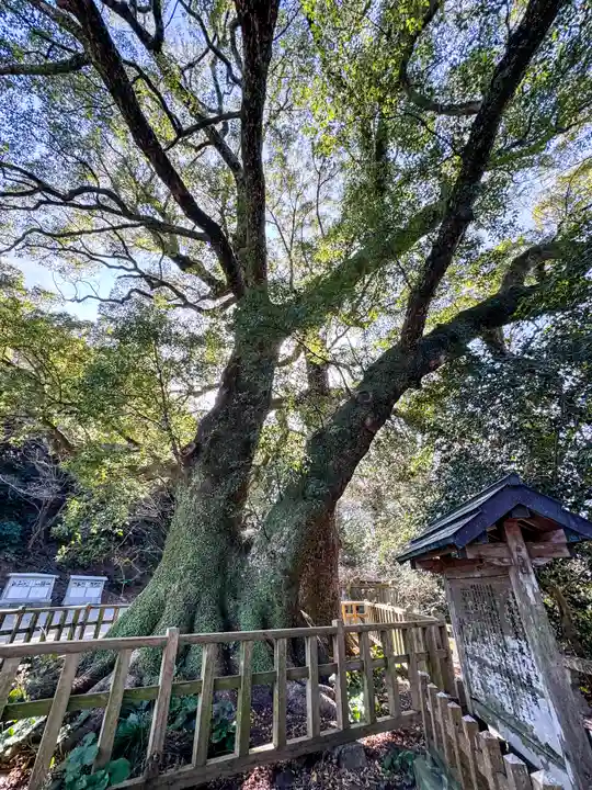 高良大社(福岡県)