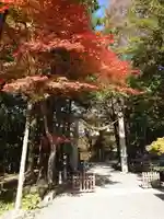 諏訪大社下社秋宮(長野県)