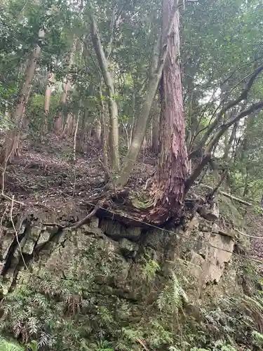 狸谷山不動院(京都府)