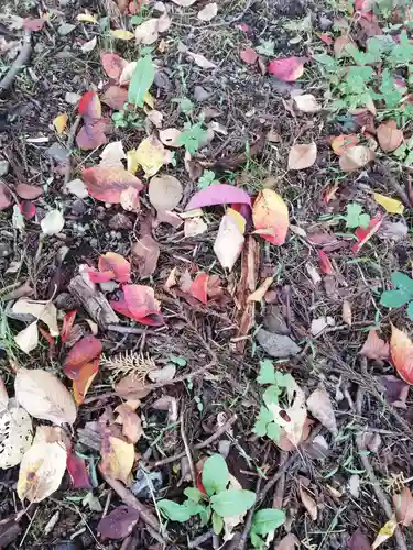 高司神社〜むすびの神の鎮まる社〜の自然