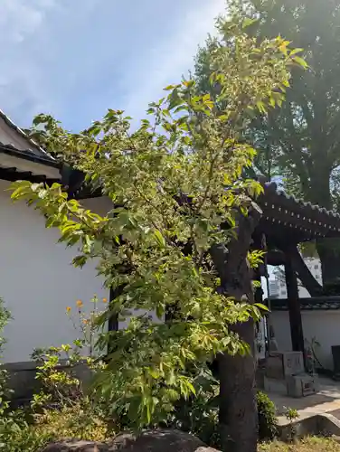 本覺寺(神奈川県)