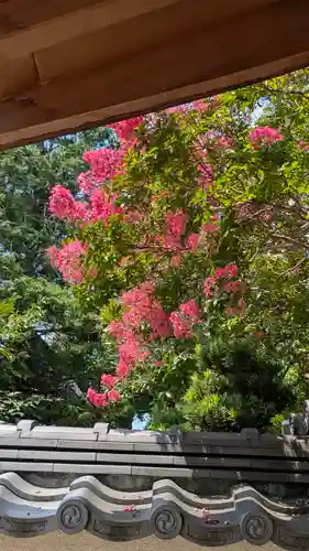 大應寺（大応寺）(京都府)