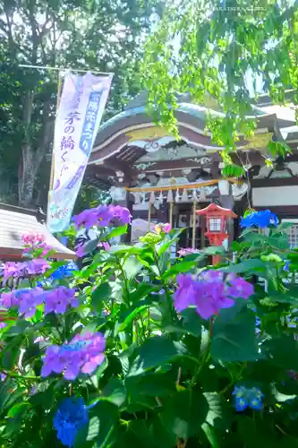 川越八幡宮(埼玉県)