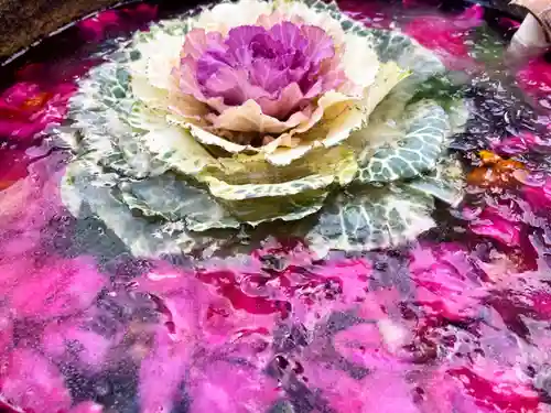 真言宗　善通寺派　薬王寺(香川県)