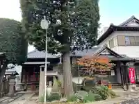 成就院(上寺)の本殿・本堂