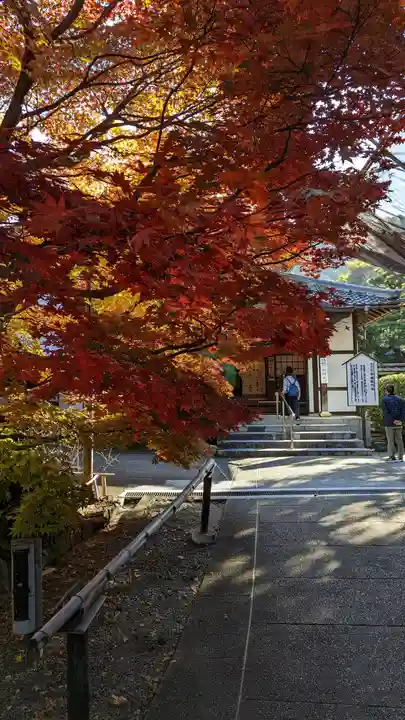 青蓮院門跡(京都府)