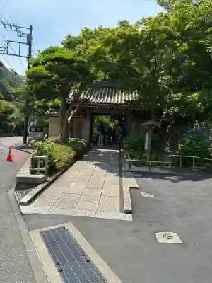 報国寺(神奈川県)