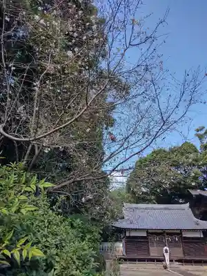 畑山神社の本殿・本堂