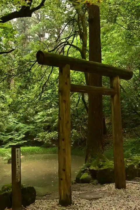 平泉寺白山神社(福井県)
