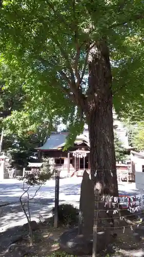 安積國造神社(福島県)