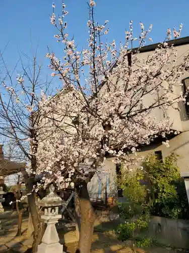 住吉神社の自然