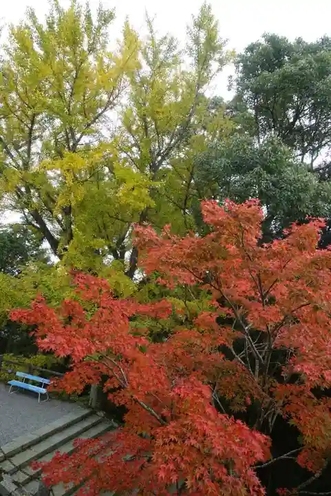 播州清水寺の自然