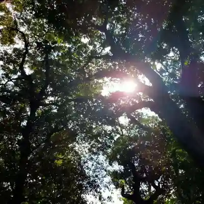 八王子神社(千葉県)