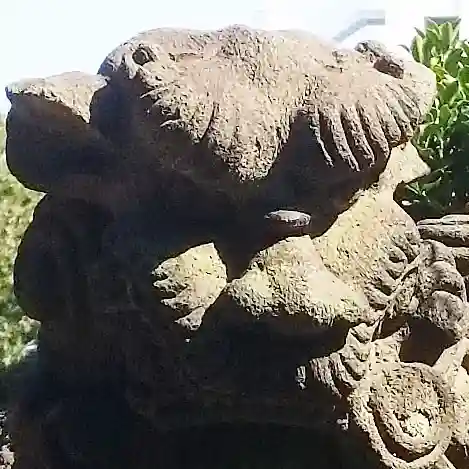 平塚神社の狛犬