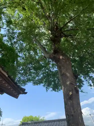 大手神社のその他建物