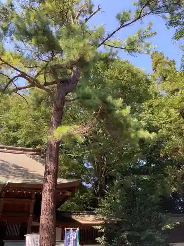 前鳥神社の自然