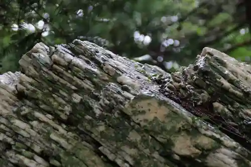 鹿島大神宮の自然