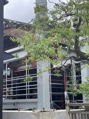 太宰府天満宮(福岡県)